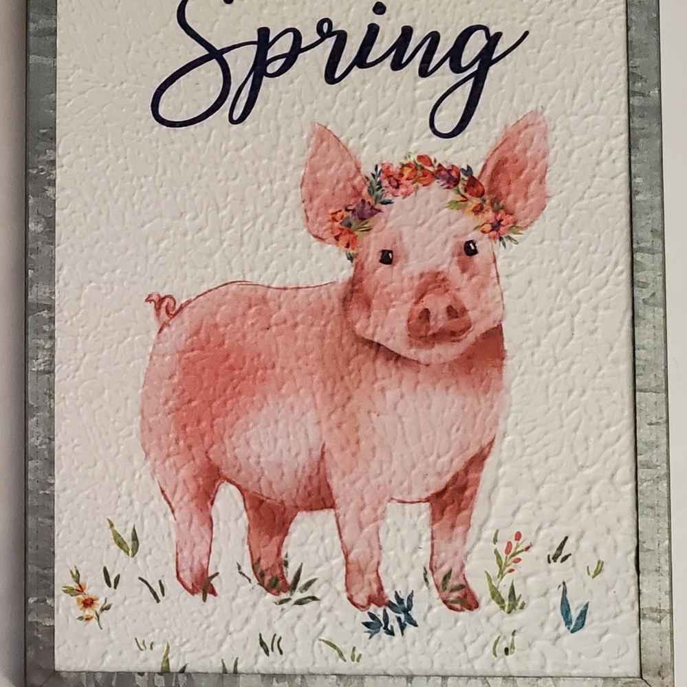 The Pioneer Woman Spring Piggy Picture